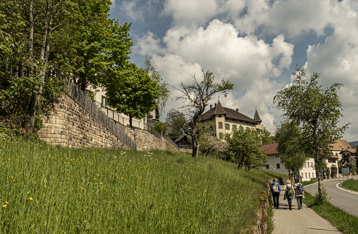 P5120263 - Copia.jpg